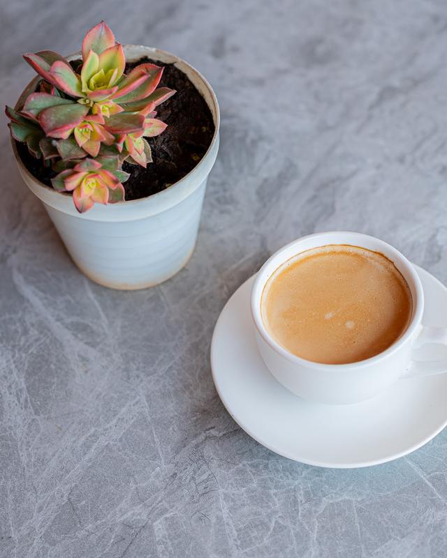 A coffee beside a potted succulent on a table